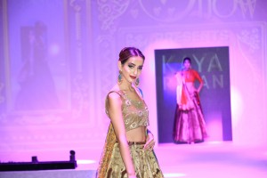Asian Wedding Photography and Videography  